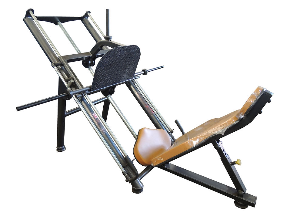 Leg Press 45°