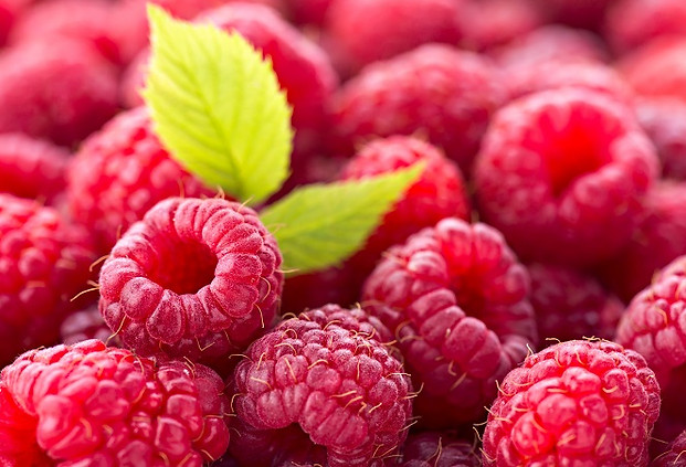 Himbeeren-Raspberries_Zutaten-KuchenNovisserie-Frankfurt_