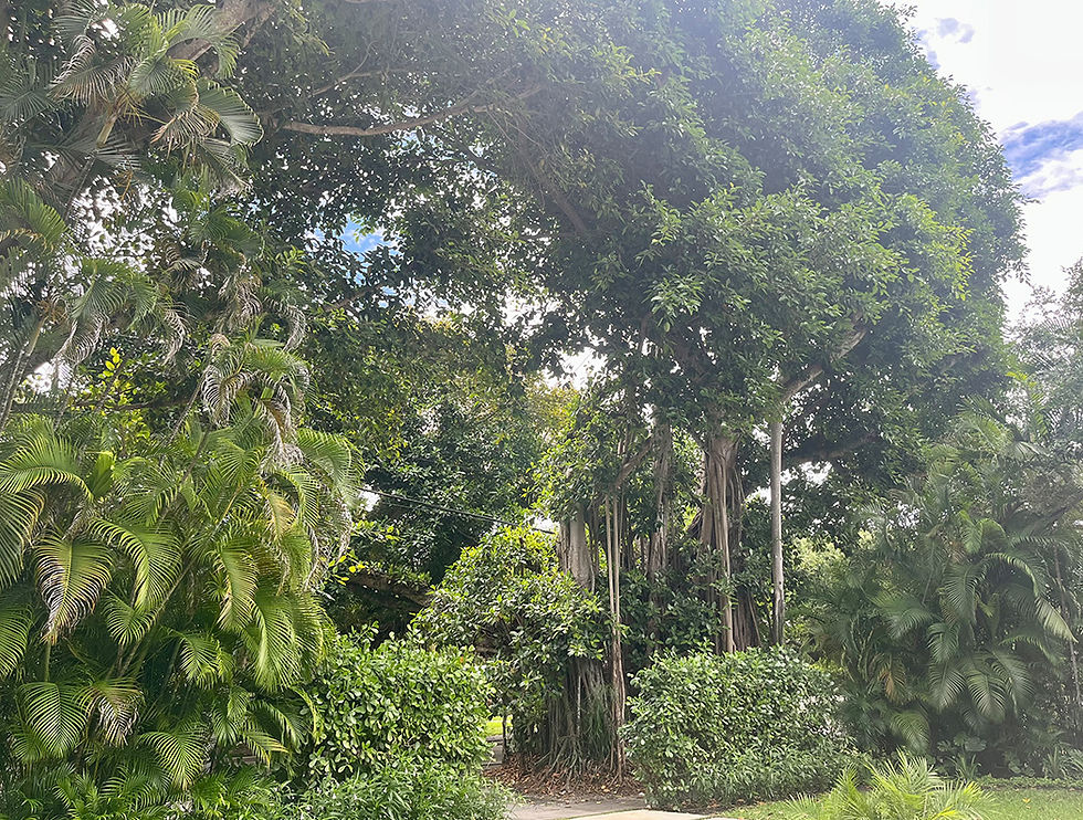 OLD CUTLER RD 1
