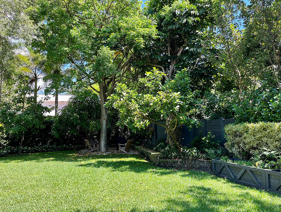 COCONUT GROVE 2