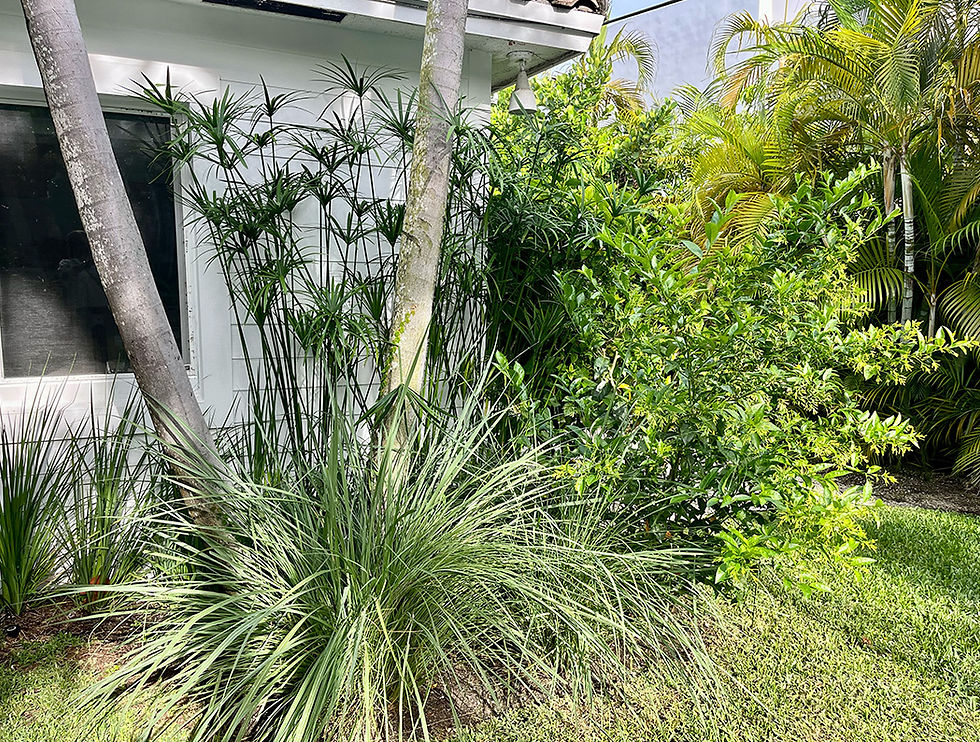 KEY BISCAYNE WOODCREST 7