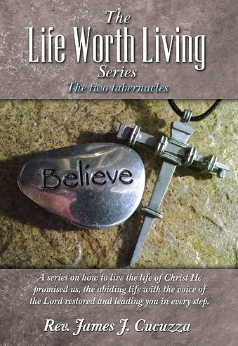 The Life Worth Living Series Book cover