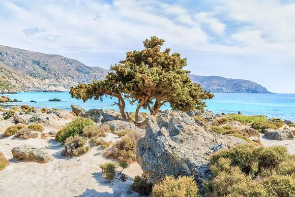 picturesque-wild-Kedrodasos.jpg
