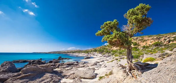 kedrodasos-beach-crete-2