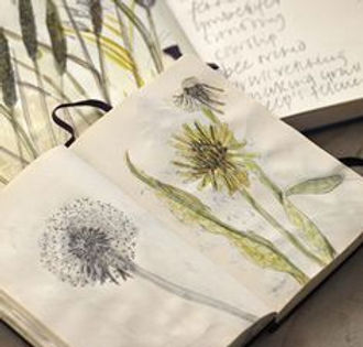 herbier-.jpg