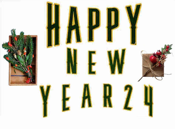 HAPPY NEW YEAR 24-2.jpg