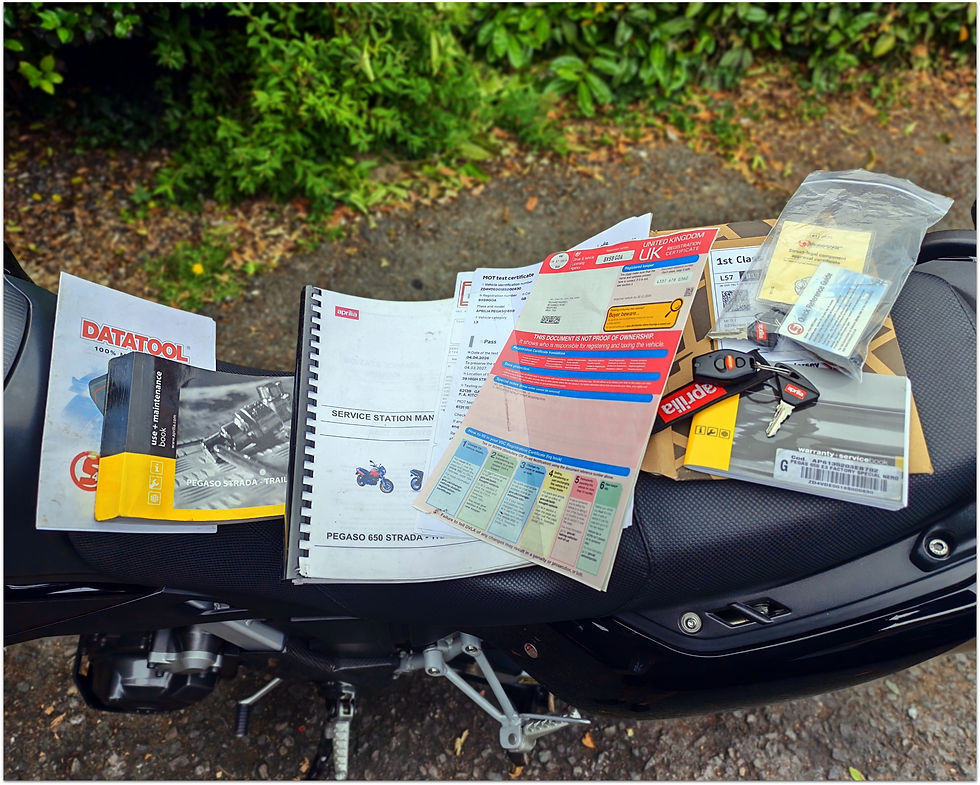 Thumbnail: 2009 Aprilia Pegaso "Factory"