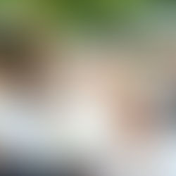 Gobierno Sandinista iniciará la entrega de 63 mil 717 Bonos de Bachillerato en las próximas semanas