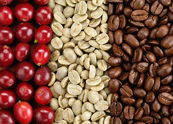 3cafes-1-Copie_edited.jpg