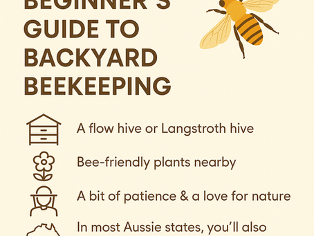 🐝 Beginner’s Guide to Backyard Beekeeping in Australia
