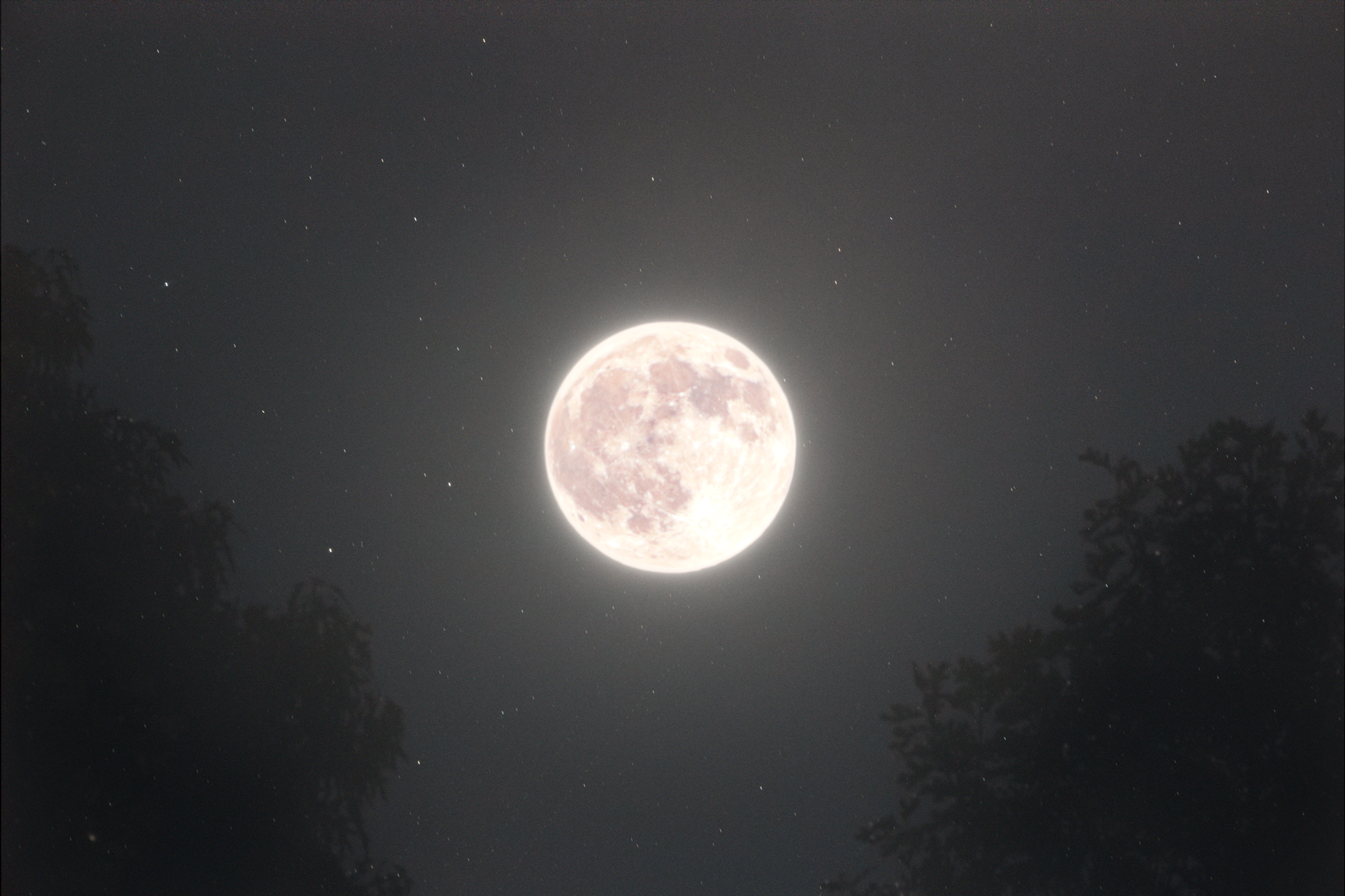 Harvest Moonscape