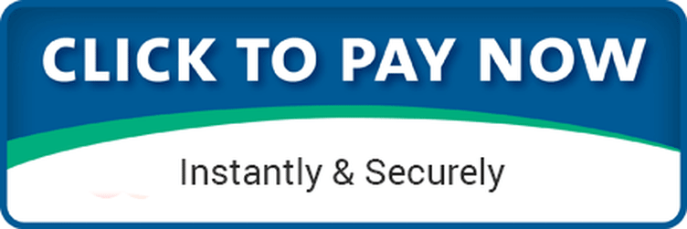 Pay Now.gif