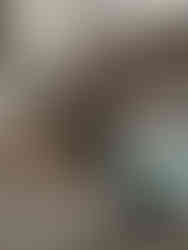 Two Nigerian dwarf goats snuggling while wearing diapers and onesies.