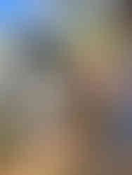 Baby Nigerian dwarf goat next to his goat house.