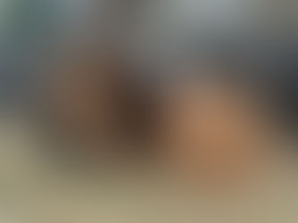 Two baby Nigerian dwarf goats snuggling in hay