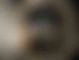 Two baby Nigerian dwarf goats snuggling while wearing diapers