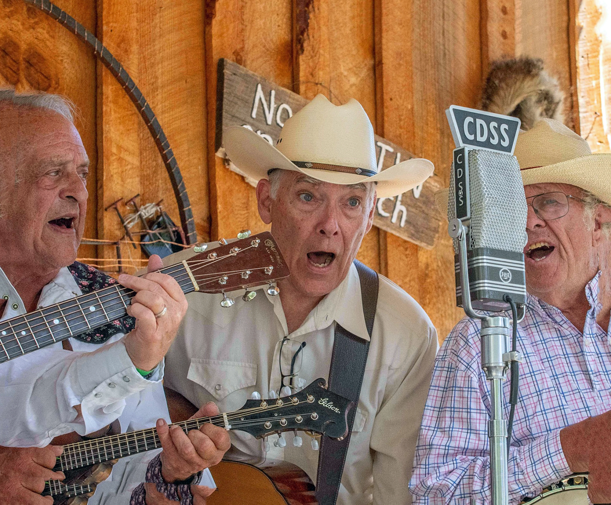 2024 ARTISTS Hardtimes Bluegrass
