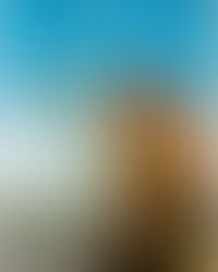 Book Review from Fay: Susan Elia MacNeal's The King's Justice