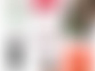 What I'm Loving: First Friday Favorites from July 2025