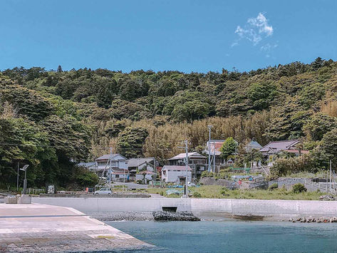 日本貓旅|宮城田代島・日本最大貓島