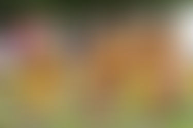 Mt. Carmel Asics Invite