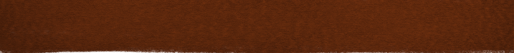 Header.png