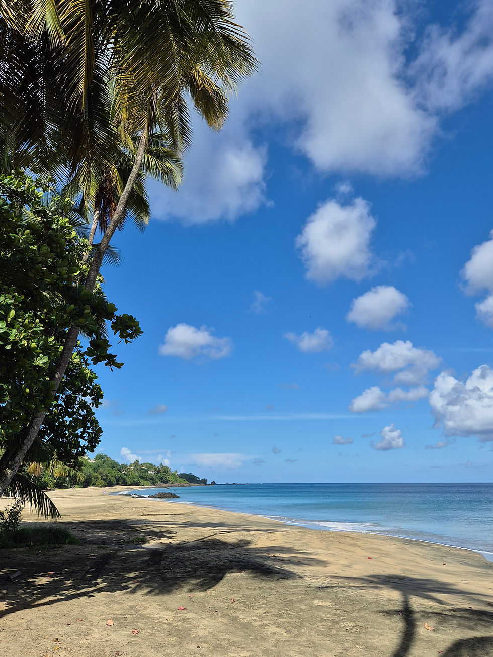 Contemplating Nature