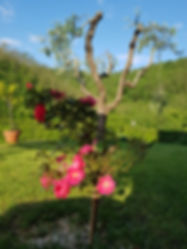 20230522_074934.jpg