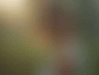 Kompleksowa obsługa produkcji mediów w Fly Vision Studio