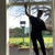 Thumbnail: Tai Chi Videos - 24 Forms - Thread needle