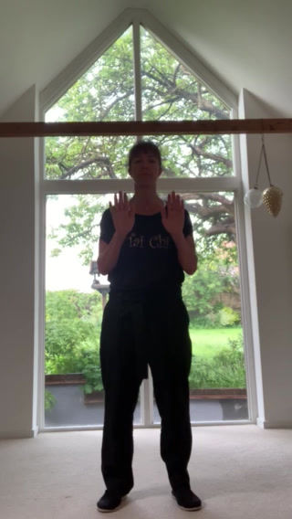 Thumbnail: Tai Chi Videos - Single Whip