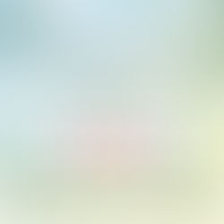 2026年清明連假公休公告