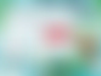2026端午節公休公告