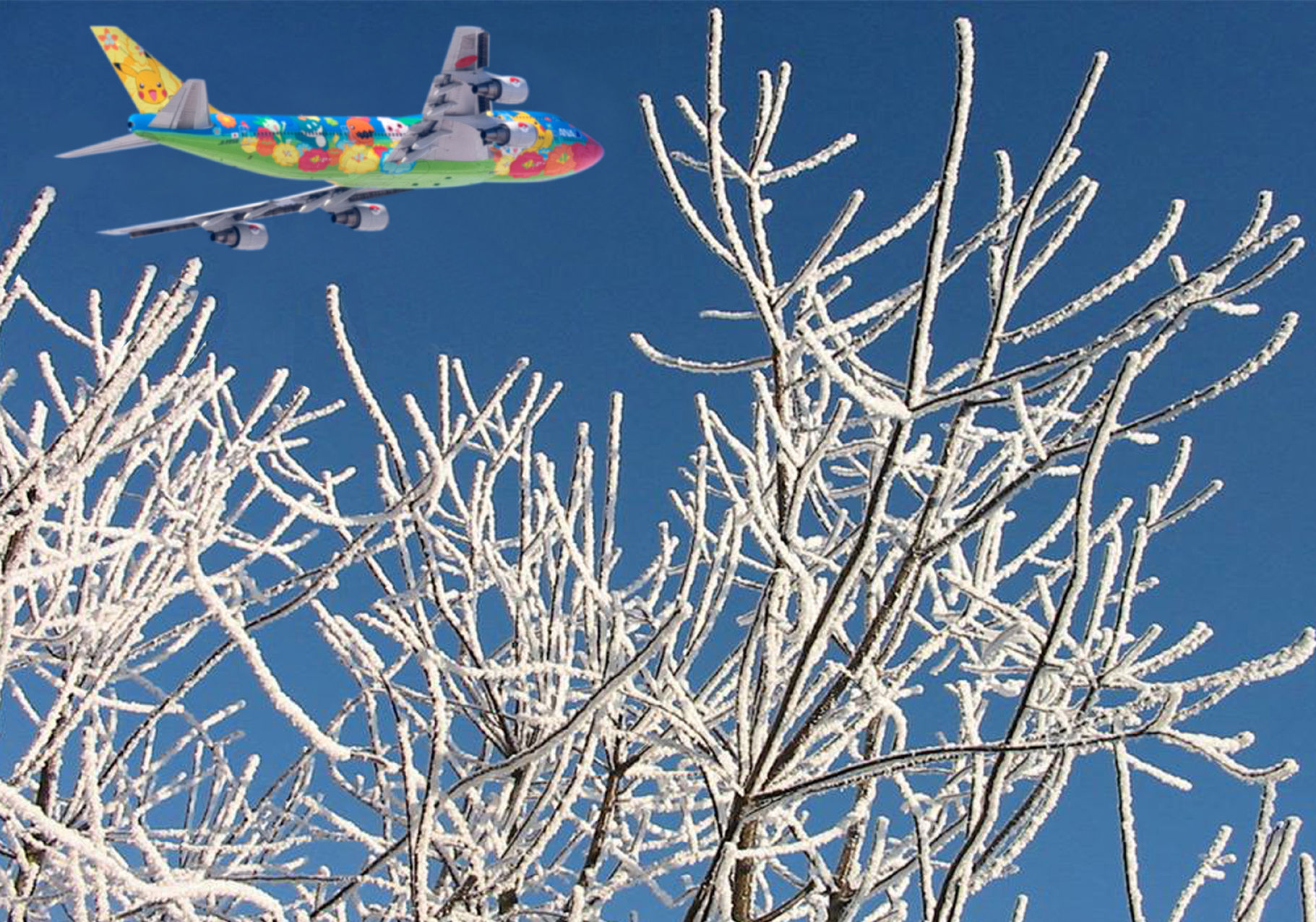 Gift Voucher "Winter Trees" Virtual Type Rating Course (10 Hours)