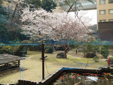 「楽門通信４月号」新年度スタート！