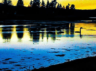 AdobePhotoshopExpress_2021-10-21_00-04-50-0700.jpeg