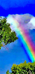 Rainbow on Los Alimos_edited.jpg