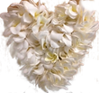 BENS_LEI_HEART❤️ copy 3_edited_edited.png