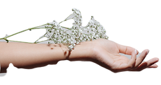 Flowers and Hand_edited.png