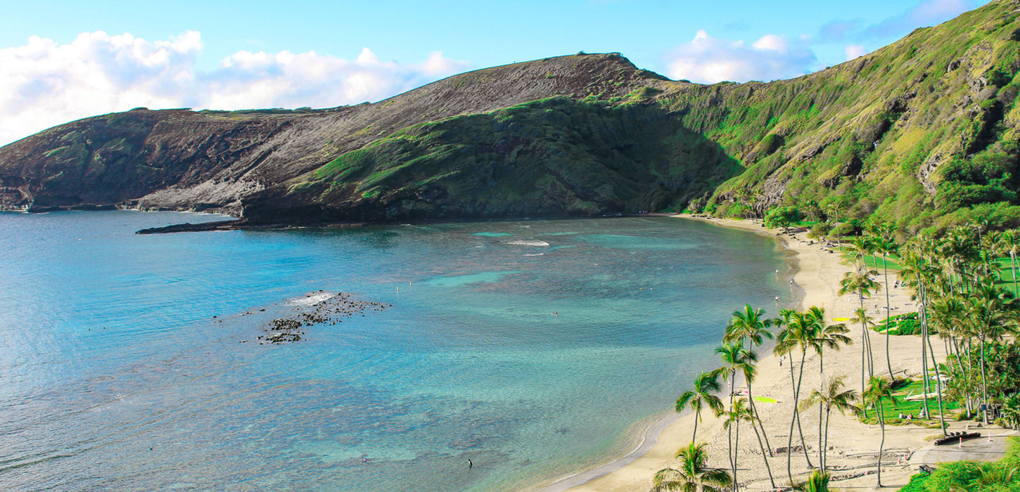 Hanauma Bay Lookout on Aloha Hawaii Tours Sights & Bites Circle Island Tour