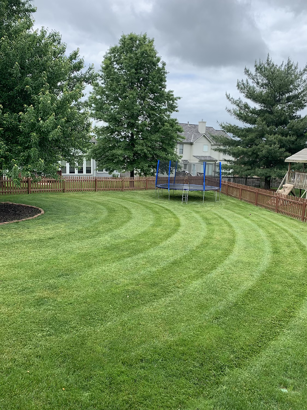 Thumbnail: Lawn Mowing