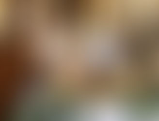 The Human Remains Team's Summer