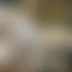 Just some of the samples!