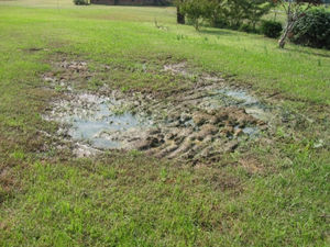 Why do septic systems malfunction?