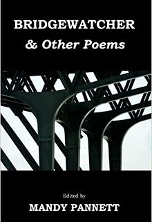 Bridgewatcher Anthology Cover.jpg