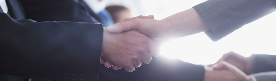 Shaking Hands