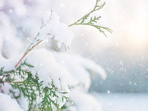 Christmas & New Year Timetable