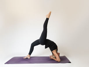 Back Bending Workshop with Rose Ann