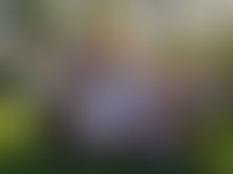 Class of 2024 - Tenerife