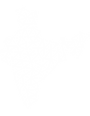 printed sarees ,Custom printed sarees, designer sarees ,Customized sarees